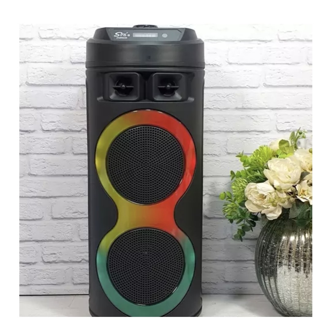 اسپیکر قابل حمل zqs 6220